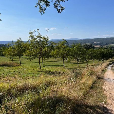 Montjustin Bergerie Bed & Breakfast エクステリア 写真
