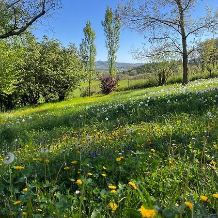 Montjustin Bergerie Bed & Breakfast エクステリア 写真